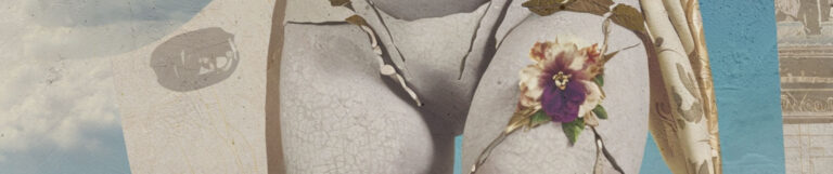 Genital Aesthetics